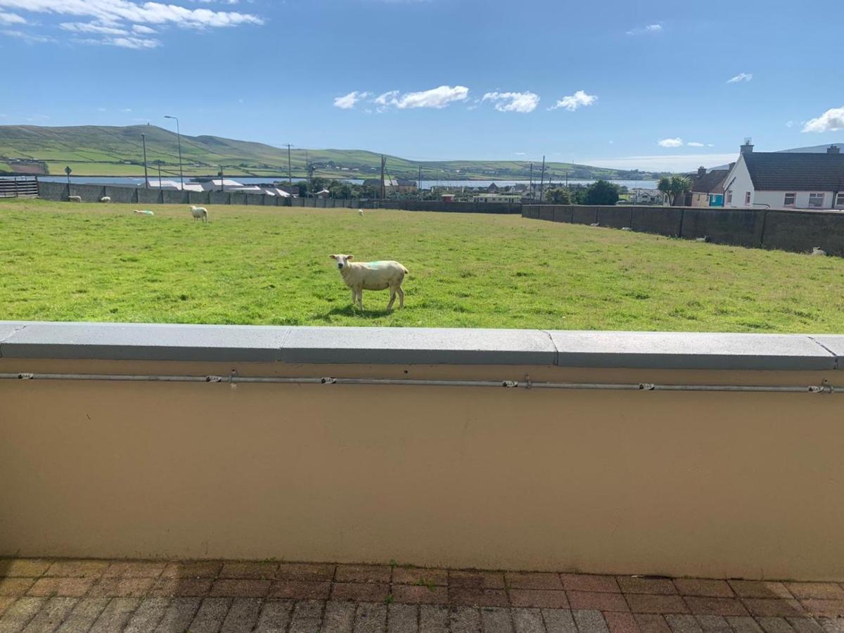 Seaview Heights Bed & Breakfast Dingle Dış mekan fotoğraf